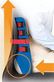 Back Support Side View