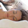 Foam Memory Pillow For The Ultimate Comfort