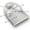 Posture pillow helps ease stress from poor posture